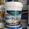 Pentens T-007